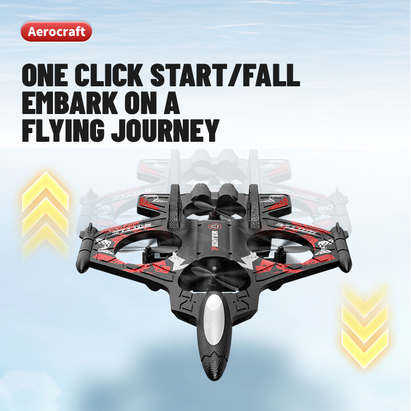 2.4G EPP Foam RC Plane Remote  - Drone Rc Fighter Jet 评论和价格
